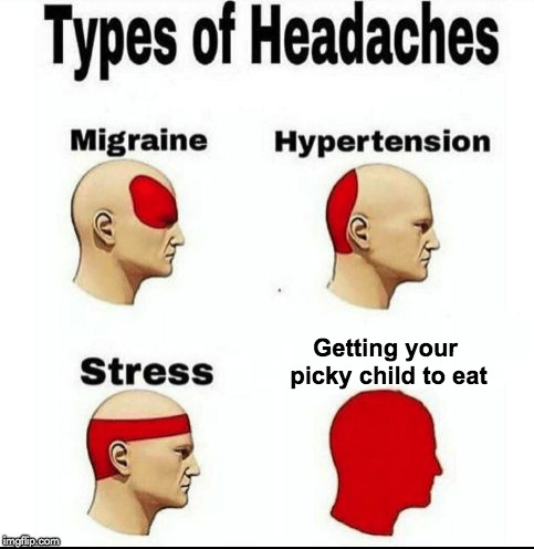 Types of Headaches meme | Getting your picky child to eat | image tagged in types of headaches meme | made w/ Imgflip meme maker