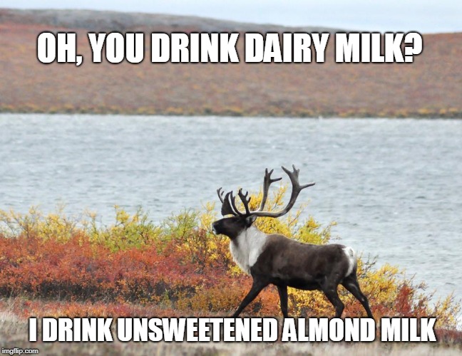 Snobby Tuktu | OH, YOU DRINK DAIRY MILK? I DRINK UNSWEETENED ALMOND MILK | image tagged in snobby tuktu | made w/ Imgflip meme maker