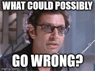 Jeff Goldblum | WHAT COULD POSSIBLY GO WRONG? | image tagged in jeff goldblum | made w/ Imgflip meme maker
