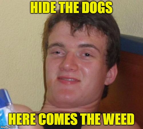 10 Guy Meme | HIDE THE DOGS HERE COMES THE WEED | image tagged in memes,10 guy | made w/ Imgflip meme maker