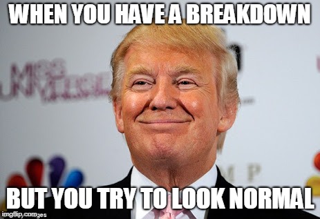 Donald trump approves | WHEN YOU HAVE A BREAKDOWN; BUT YOU TRY TO LOOK NORMAL | image tagged in donald trump approves | made w/ Imgflip meme maker
