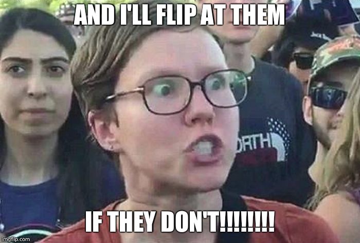 Triggered Liberal | AND I'LL FLIP AT THEM IF THEY DON'T!!!!!!!! | image tagged in triggered liberal | made w/ Imgflip meme maker