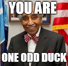 Loser | YOU ARE ONE ODD DUCK | image tagged in loser | made w/ Imgflip meme maker