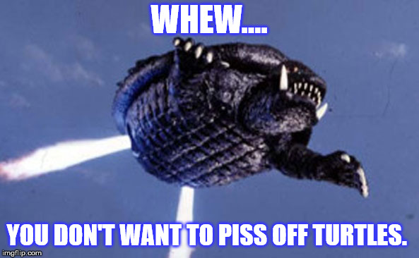 WHEW.... YOU DON'T WANT TO PISS OFF TURTLES. | made w/ Imgflip meme maker
