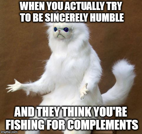 What the Heck Cat | WHEN YOU ACTUALLY TRY TO BE SINCERELY HUMBLE; AND THEY THINK YOU'RE FISHING FOR COMPLEMENTS | image tagged in what the heck cat | made w/ Imgflip meme maker