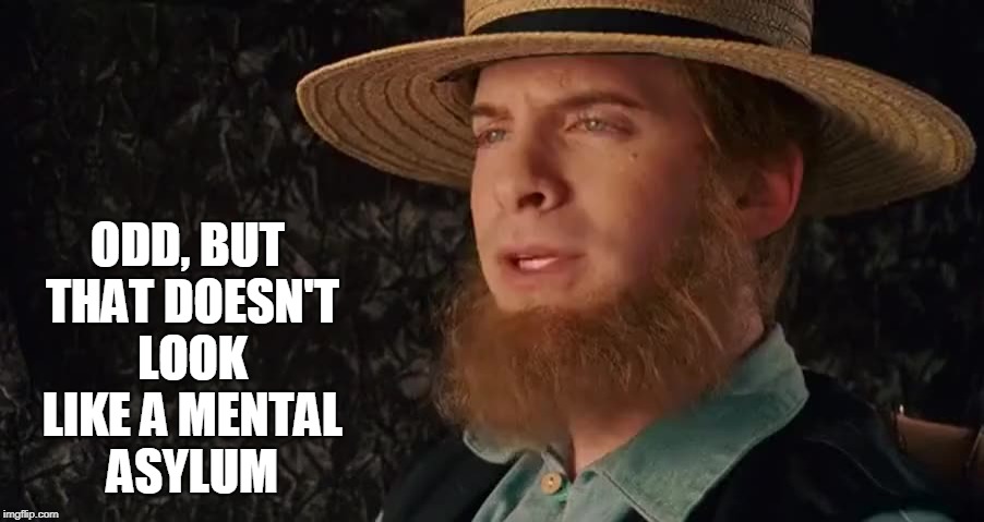 Sarcastic Amish | ODD, BUT THAT DOESN'T LOOK LIKE A MENTAL ASYLUM | image tagged in sarcastic amish | made w/ Imgflip meme maker