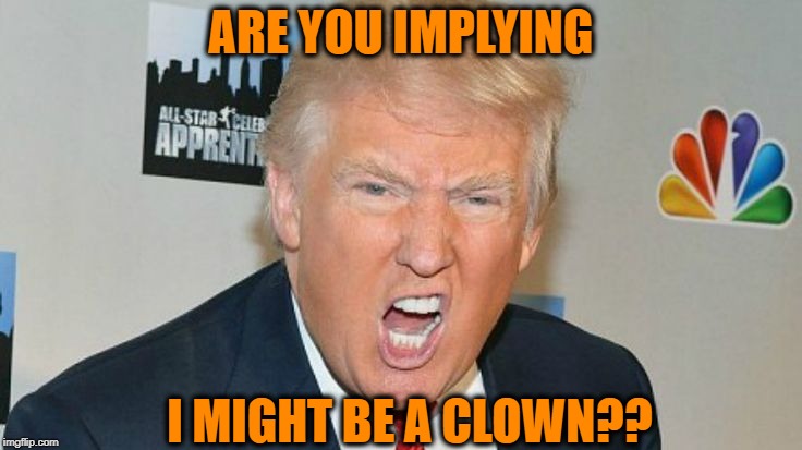 ARE YOU IMPLYING I MIGHT BE A CLOWN?? | image tagged in trump mad | made w/ Imgflip meme maker