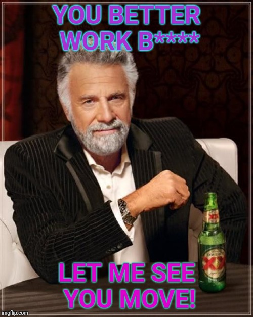The Most Interesting Man In The World | YOU BETTER WORK B****; LET ME SEE YOU MOVE! | image tagged in memes,the most interesting man in the world | made w/ Imgflip meme maker