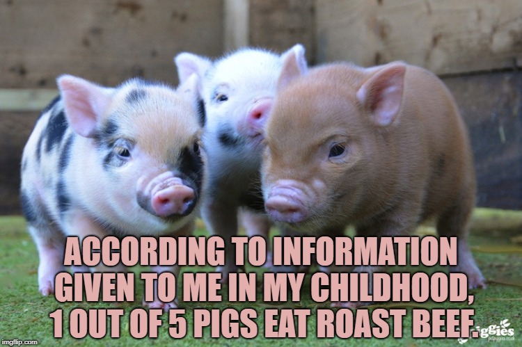 pigs | ACCORDING TO INFORMATION GIVEN TO ME IN MY CHILDHOOD, 1 OUT OF 5 PIGS EAT ROAST BEEF. | image tagged in pigs,funny,memes,funny memes | made w/ Imgflip meme maker
