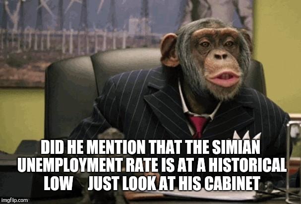 Business Chimp | DID HE MENTION THAT THE SIMIAN UNEMPLOYMENT RATE IS AT A HISTORICAL LOW     JUST LOOK AT HIS CABINET | image tagged in business chimp | made w/ Imgflip meme maker