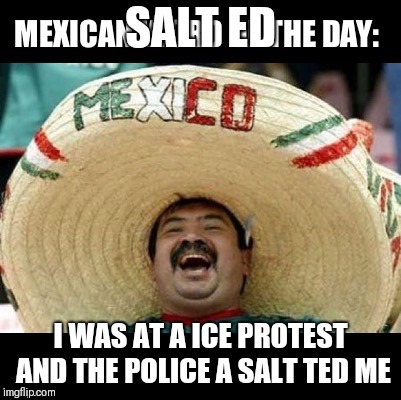 Mexican Word of the Day (LARGE) | SALT ED; I WAS AT A ICE PROTEST AND THE POLICE A SALT TED ME | image tagged in mexican word of the day large | made w/ Imgflip meme maker