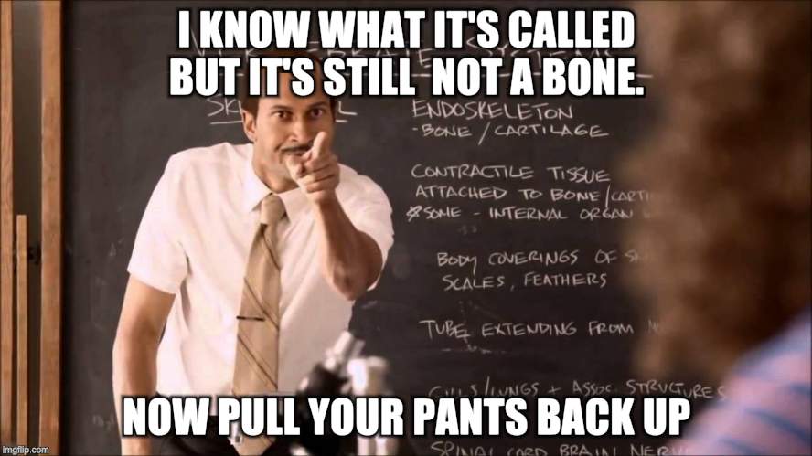 Key and Peele Substitute Teacher | I KNOW WHAT IT'S CALLED BUT IT'S STILL  NOT A BONE. NOW PULL YOUR PANTS BACK UP | image tagged in key and peele substitute teacher | made w/ Imgflip meme maker