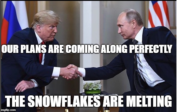 OUR PLANS ARE COMING ALONG PERFECTLY; THE SNOWFLAKES ARE MELTING | image tagged in trump putin,snowflakes | made w/ Imgflip meme maker