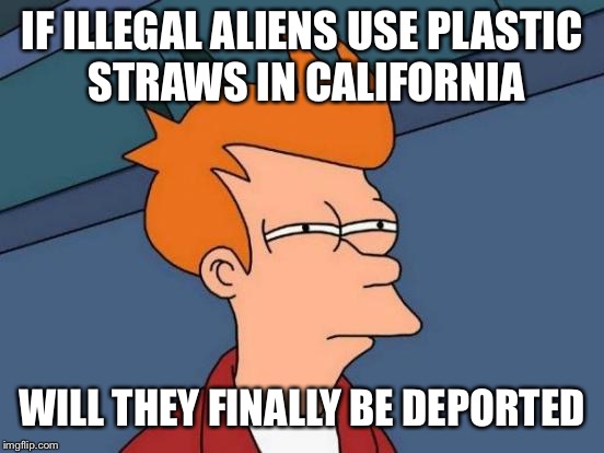 Asking for a friend |  IF ILLEGAL ALIENS USE PLASTIC STRAWS IN CALIFORNIA; WILL THEY FINALLY BE DEPORTED | image tagged in memes,futurama fry,illegal immigration,maga | made w/ Imgflip meme maker