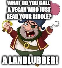 pirate | WHAT DO YOU CALL A VEGAN WHO JUST READ YOUR RIDDLE? A LANDLUBBER! | image tagged in pirate | made w/ Imgflip meme maker
