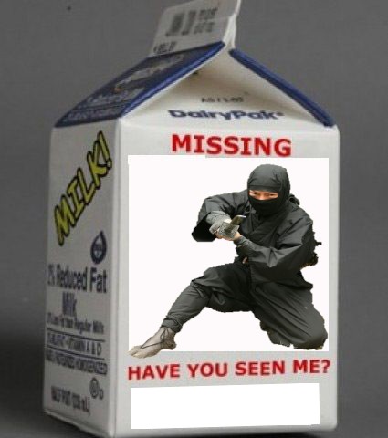 High Quality Missing Ninja Blank Meme Template