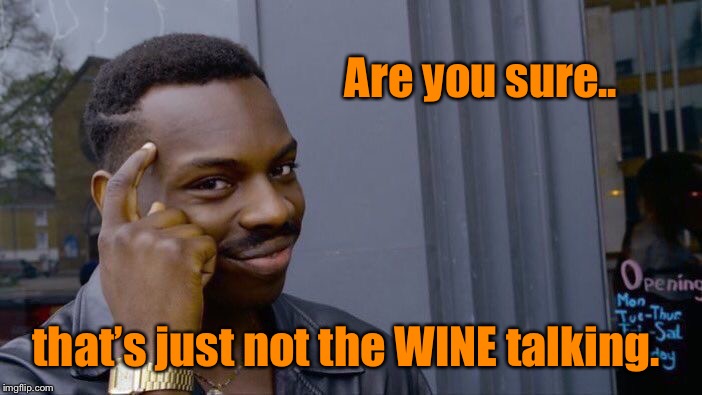 Roll Safe Think About It Meme | Are you sure.. that’s just not the WINE talking. | image tagged in memes,roll safe think about it | made w/ Imgflip meme maker