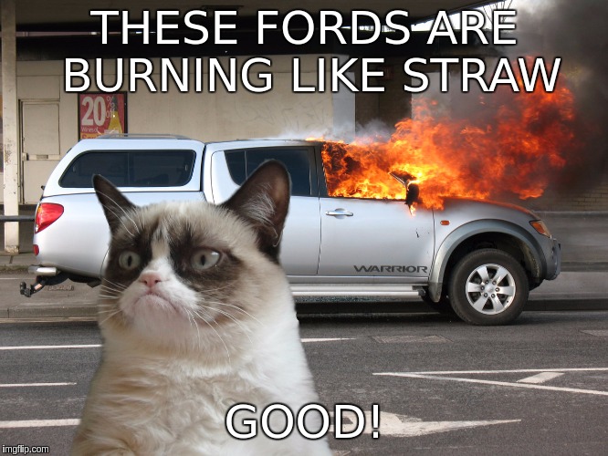 Grumpy Cat Car on Fire | THESE FORDS ARE BURNING LIKE STRAW; GOOD! | image tagged in grumpy cat car on fire | made w/ Imgflip meme maker
