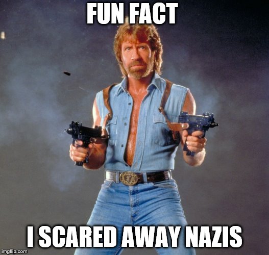 It's true. Google it. | FUN FACT; I SCARED AWAY NAZIS | image tagged in memes,chuck norris guns,chuck norris,nazis,coincidence i think not | made w/ Imgflip meme maker