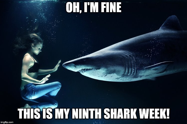Are you a shark week pro? | OH, I'M FINE; THIS IS MY NINTH SHARK WEEK! | image tagged in shark week,shark expert | made w/ Imgflip meme maker