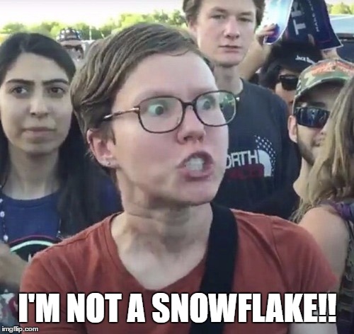 Triggered feminist | I'M NOT A SNOWFLAKE!! | image tagged in triggered feminist | made w/ Imgflip meme maker