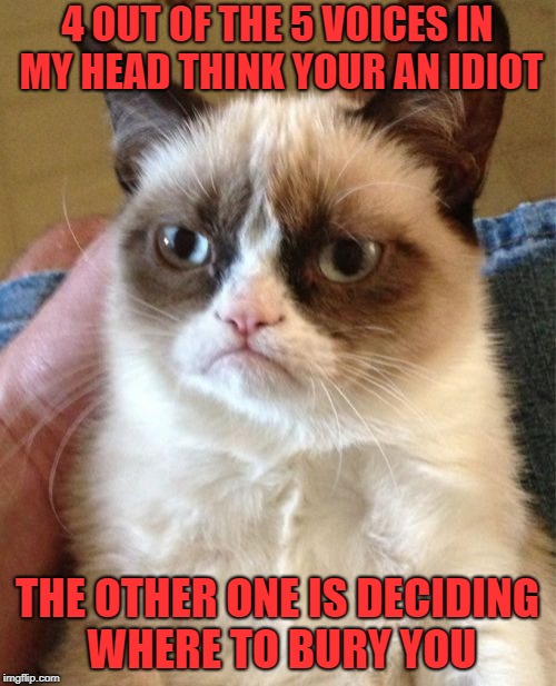Grumpy Cat Meme | 4 OUT OF THE 5 VOICES IN MY HEAD THINK YOUR AN IDIOT THE OTHER ONE IS DECIDING WHERE TO BURY YOU | image tagged in memes,grumpy cat | made w/ Imgflip meme maker