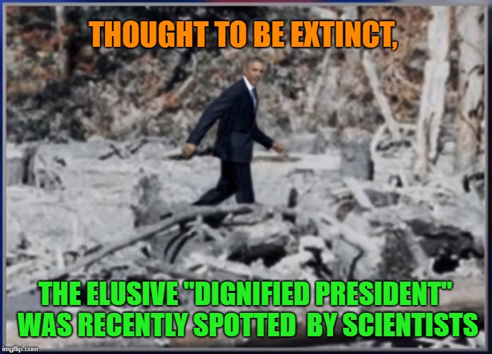 If There's One, There Must Be More! | THOUGHT TO BE EXTINCT, THE ELUSIVE "DIGNIFIED PRESIDENT" WAS RECENTLY SPOTTED  BY SCIENTISTS | image tagged in obama,trump,dignity,president | made w/ Imgflip meme maker