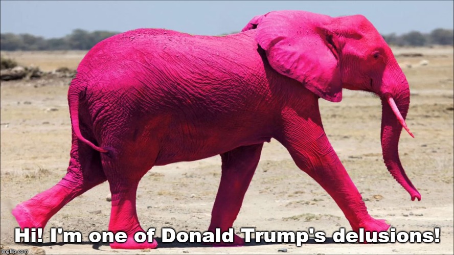 Pink Elephant | Hi! I'm one of Donald Trump's delusions! | image tagged in pink elephant | made w/ Imgflip meme maker