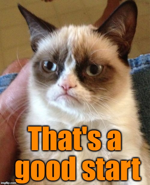 Grumpy Cat Meme | That's a good start | image tagged in memes,grumpy cat | made w/ Imgflip meme maker