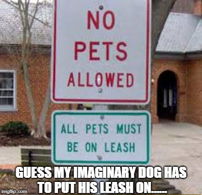 Wut???? | GUESS MY IMAGINARY DOG HAS TO PUT HIS LEASH ON...... | image tagged in pets,rules,law | made w/ Imgflip meme maker