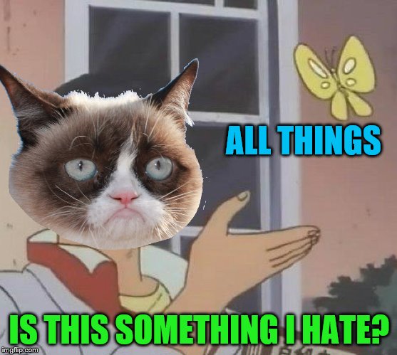 Yes? | ALL THINGS; IS THIS SOMETHING I HATE? | image tagged in memes,is this a pigeon,grumpy cat,i hate it | made w/ Imgflip meme maker