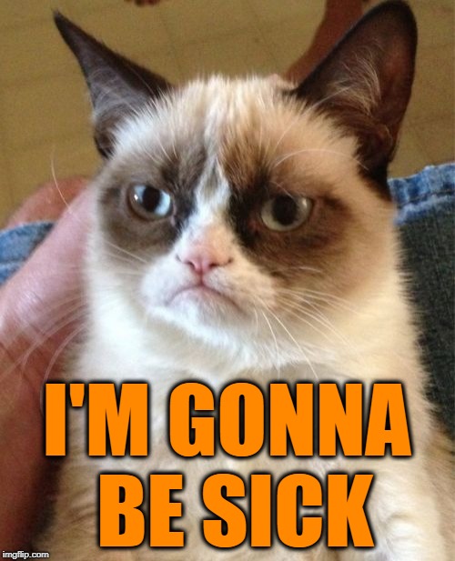 Grumpy Cat Meme | I'M GONNA BE SICK | image tagged in memes,grumpy cat | made w/ Imgflip meme maker