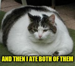 AND THEN I ATE BOTH OF THEM | made w/ Imgflip meme maker