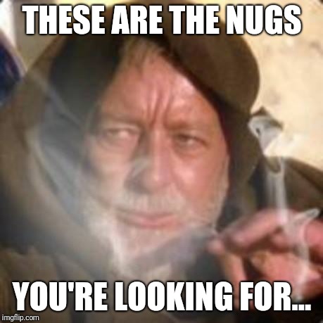 Obiwan nugs | THESE ARE THE NUGS; YOU'RE LOOKING FOR... | image tagged in obiwan,weed,cannabis,marijuana,ganja | made w/ Imgflip meme maker