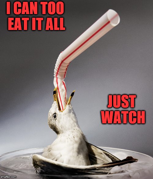 I CAN TOO EAT IT ALL JUST WATCH | made w/ Imgflip meme maker