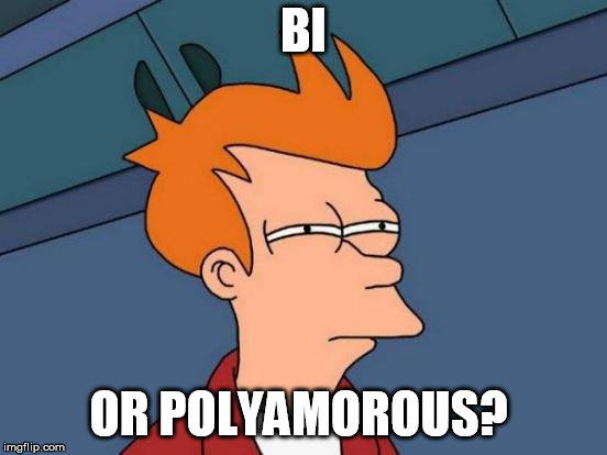 Futurama Fry Meme | BI OR POLYAMOROUS? | image tagged in memes,futurama fry | made w/ Imgflip meme maker