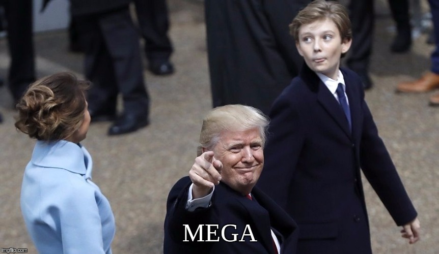 MEGA | MEGA | image tagged in megaman,trump | made w/ Imgflip meme maker