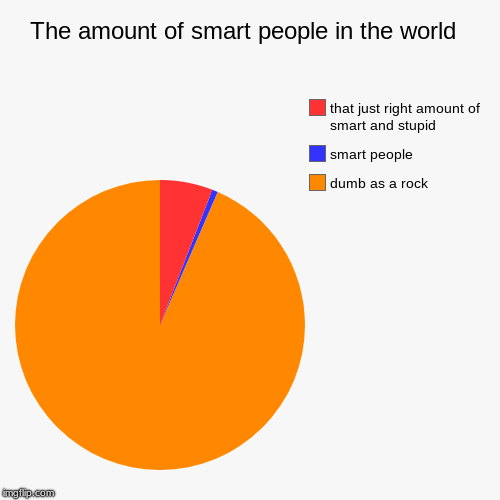 The amount of smart people in the world  | dumb as a rock, smart people, that just right amount of smart and stupid | image tagged in funny,pie charts | made w/ Imgflip chart maker