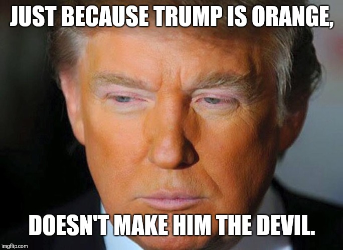 Strictly for people who can keep their cool. | JUST BECAUSE TRUMP IS ORANGE, DOESN'T MAKE HIM THE DEVIL. | image tagged in orange trump,trump,trump is good | made w/ Imgflip meme maker