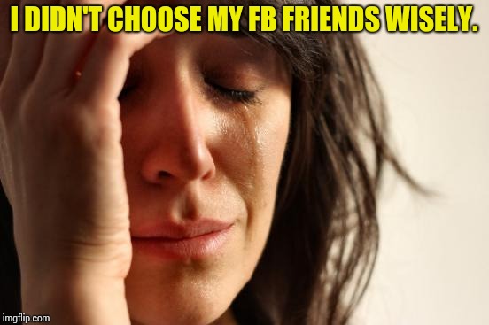 First World Problems Meme | I DIDN'T CHOOSE MY FB FRIENDS WISELY. | image tagged in memes,first world problems | made w/ Imgflip meme maker