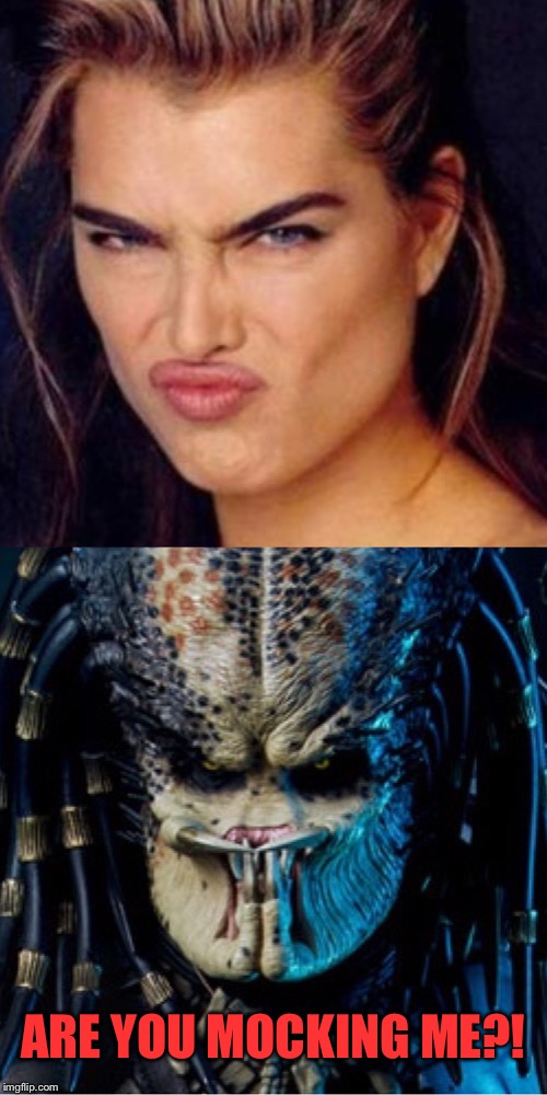Beauty and the Beast | ARE YOU MOCKING ME?! | image tagged in celebrity,alien,mashup,predator,memes | made w/ Imgflip meme maker