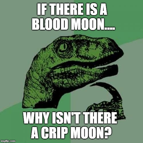 Even our moon has diversity problems. | IF THERE IS A BLOOD MOON.... WHY ISN'T THERE A CRIP MOON? | image tagged in memes,philosoraptor | made w/ Imgflip meme maker