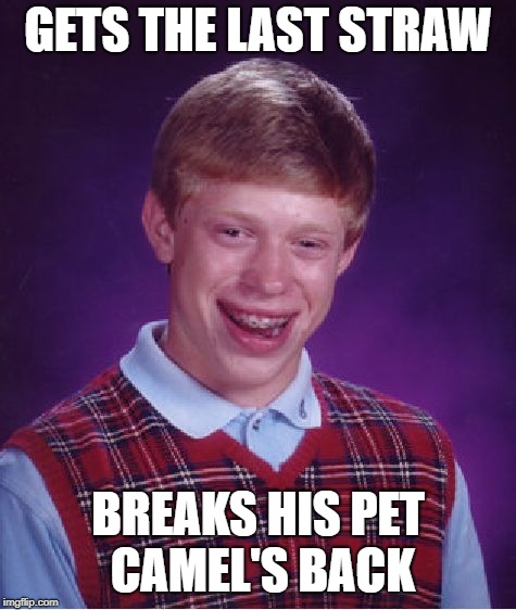 Bad Luck Bedouin Brian | GETS THE LAST STRAW; BREAKS HIS PET CAMEL'S BACK | image tagged in memes,bad luck brian,straws,camel | made w/ Imgflip meme maker
