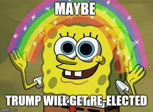 Imagination Spongebob Meme | MAYBE; TRUMP WILL GET RE-ELECTED | image tagged in memes,imagination spongebob | made w/ Imgflip meme maker