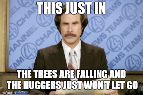 For the treeeees!!!!!!! | THIS JUST IN; THE TREES ARE FALLING AND THE HUGGERS JUST WON'T LET GO | image tagged in memes,ron burgundy | made w/ Imgflip meme maker