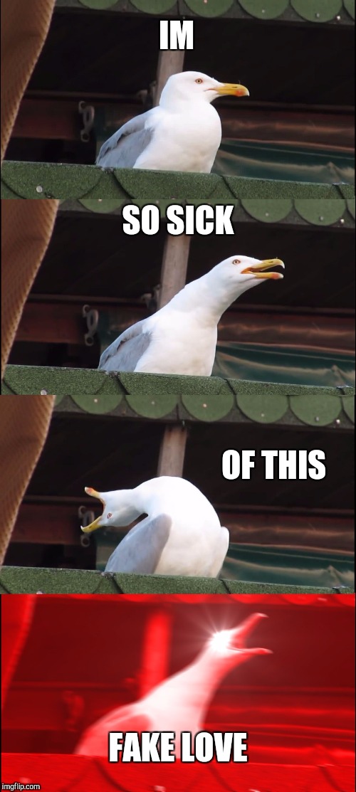 Inhaling Seagull | IM; SO SICK; OF THIS; FAKE LOVE | image tagged in memes,inhaling seagull | made w/ Imgflip meme maker