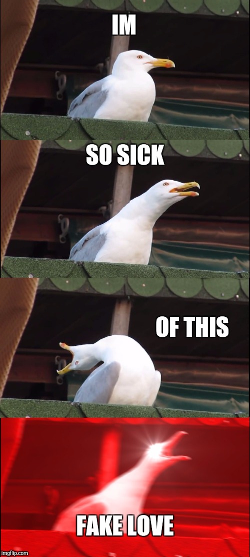 Inhaling Seagull Meme | IM; SO SICK; OF THIS; FAKE LOVE | image tagged in memes,inhaling seagull | made w/ Imgflip meme maker