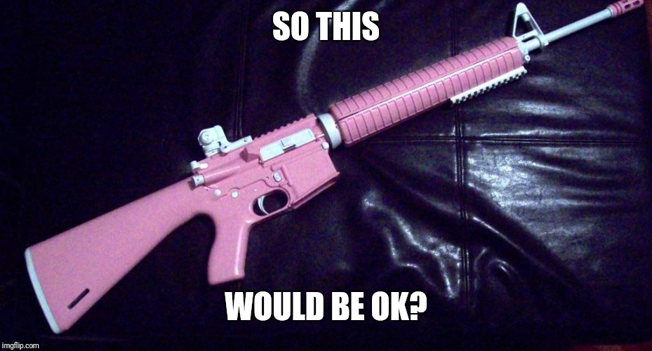 SO THIS WOULD BE OK? | image tagged in pink ar-15 | made w/ Imgflip meme maker