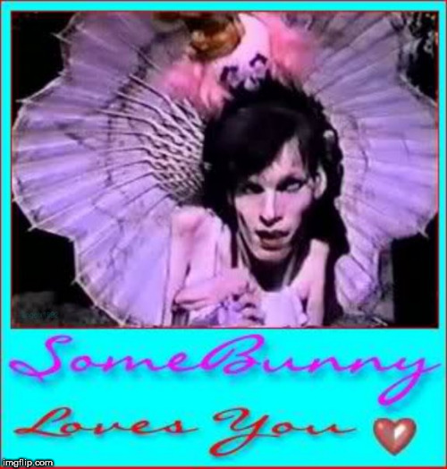 image tagged in bunny,love,greetings,i love you,i love you this much,cute bunny | made w/ Imgflip meme maker