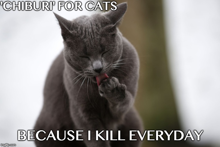 Warning Killer Cat | 'CHIBURI' FOR CATS; BECAUSE I KILL EVERYDAY | image tagged in ninja cat chiburi,chiburi,kill,warning killer cat | made w/ Imgflip meme maker